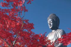 Ghost-of-Tsushima_20240204213511