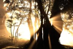 Ghost-of-Tsushima_20240208204251